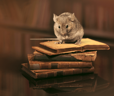 Rodent Control: A History