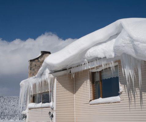 Eliminating Ice Dams: Understanding the Pest Connection 