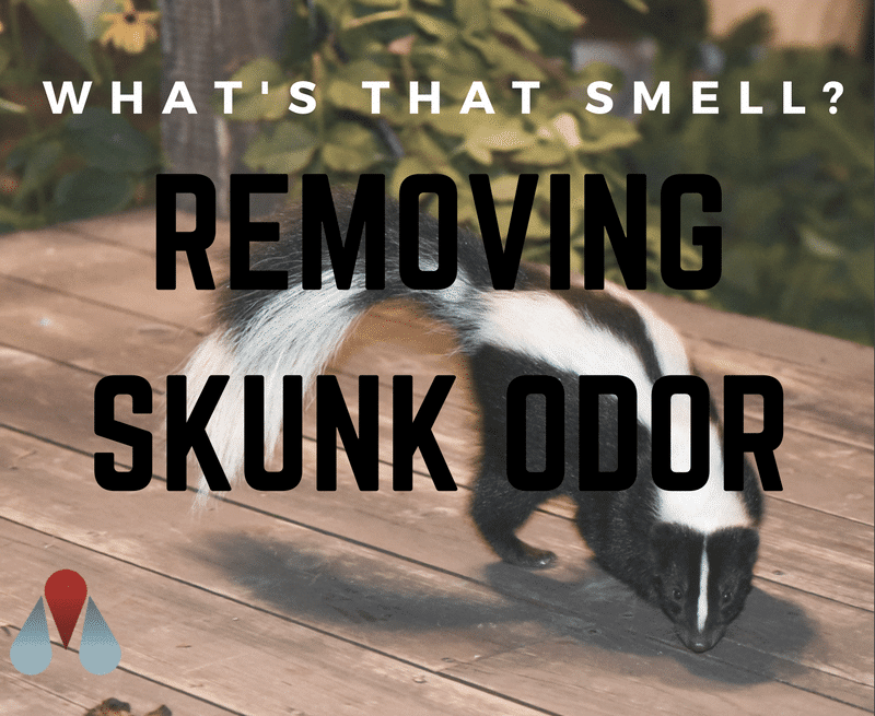 Skunk Odor Control (4 GL)