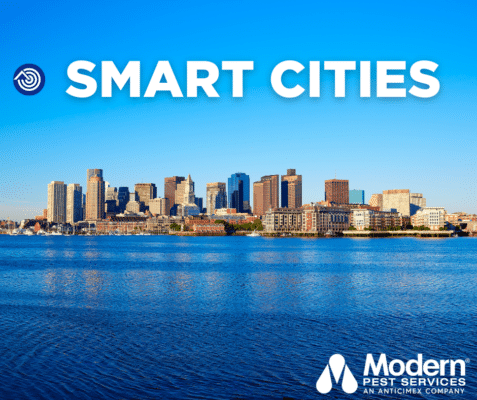 The Future of Pest Control is SMART: Rodenticide-Free Cities