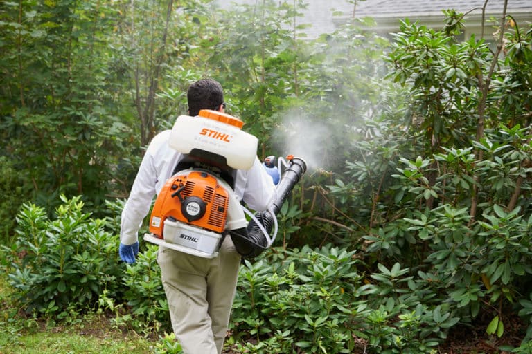 Mosquito Control And Treatment Flea Exterminator Tick Pest Control