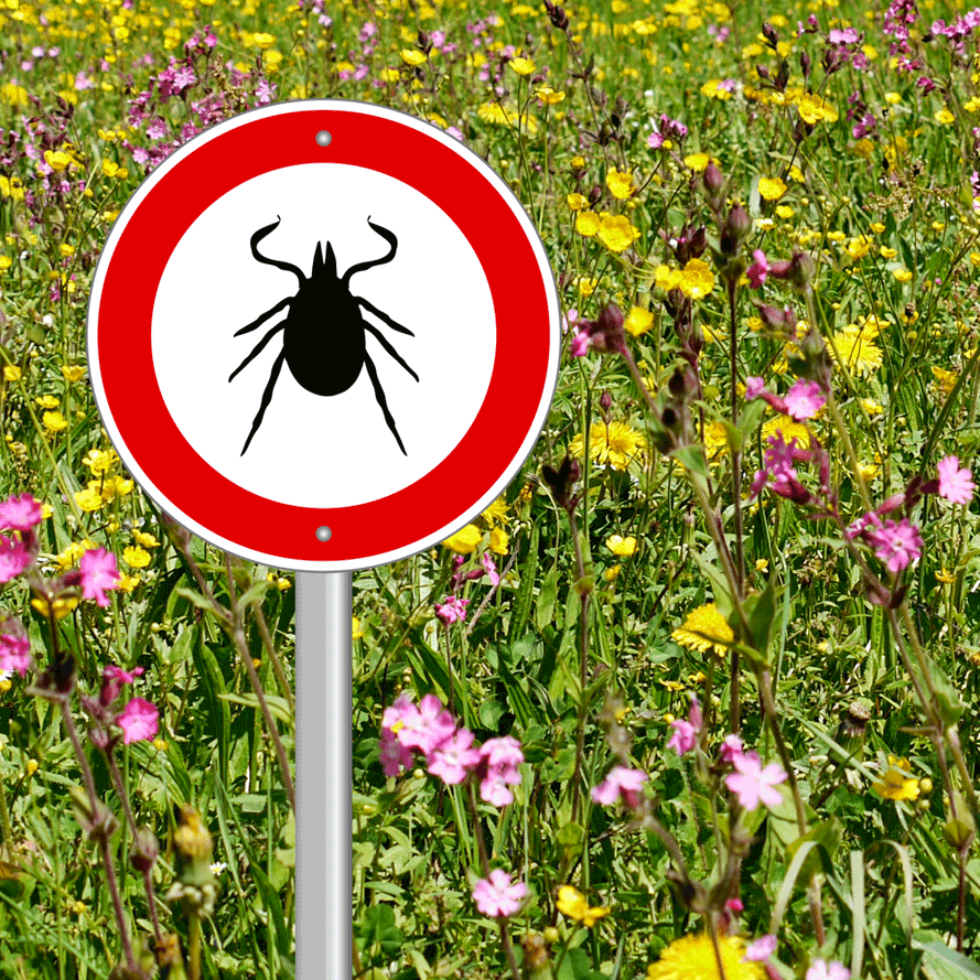 Protect Against Lyme Disease – Tips to Prevent Tick Bites